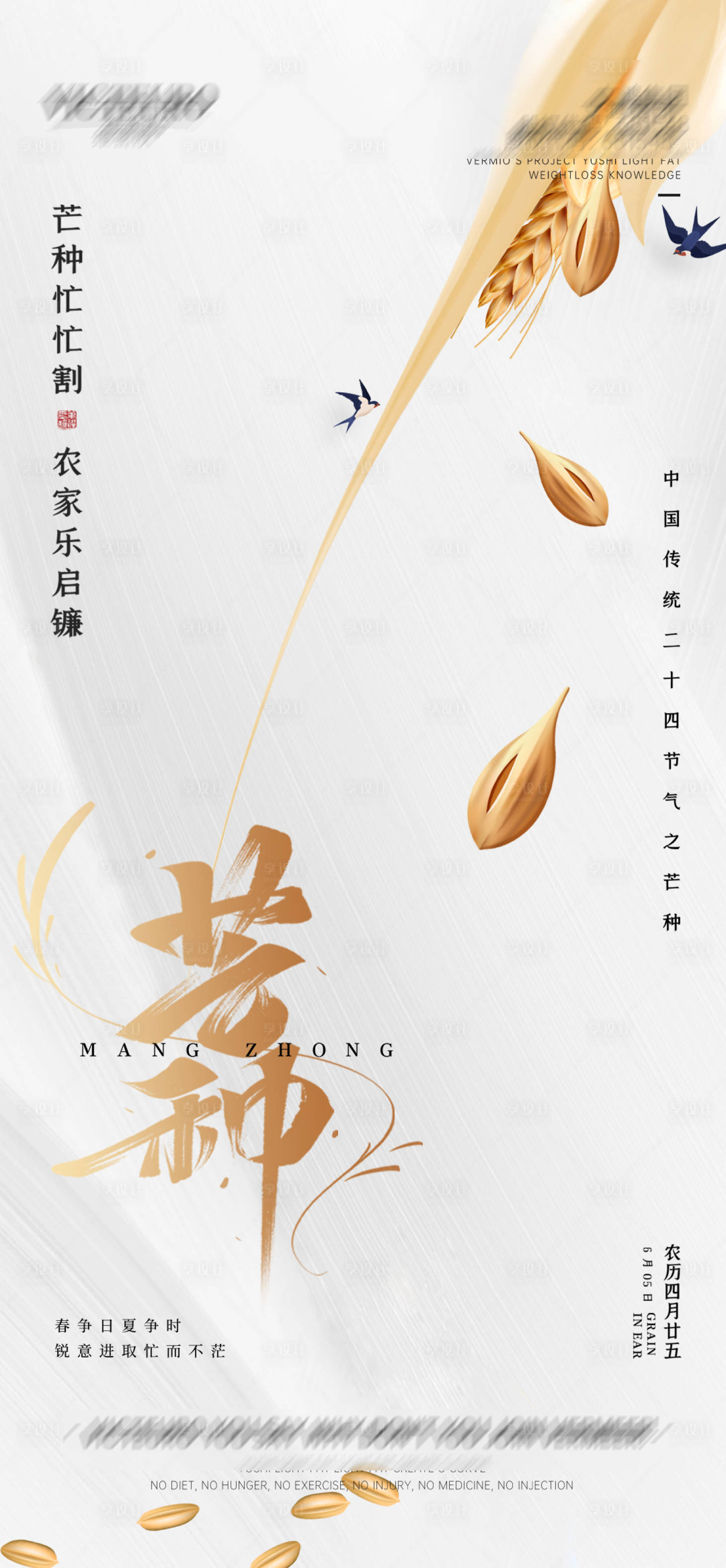 源文件下载【芒种节气简约大气海报】编号：64070005655171440