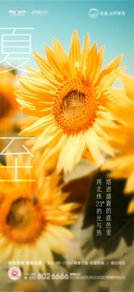 源文件下载【夏至节气海报】编号：20210705145858245