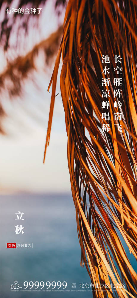 源文件下载【立秋海报】编号：20800005811271610