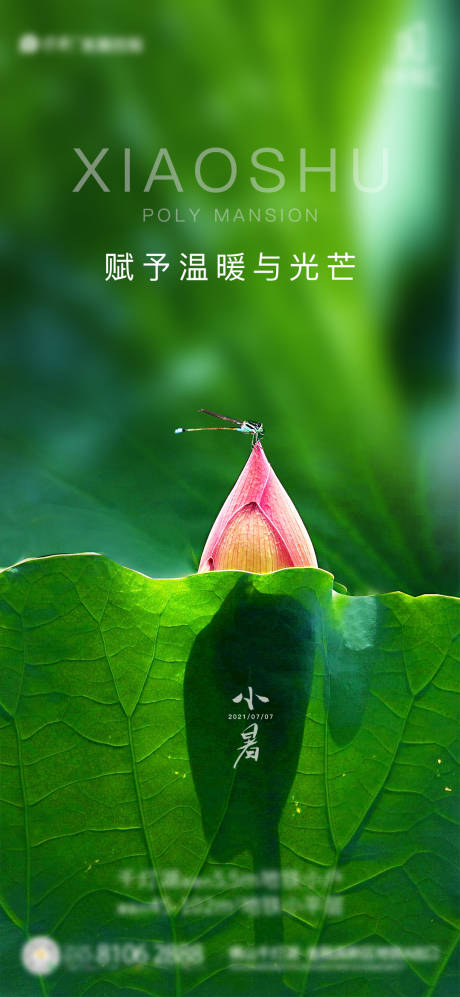 源文件下载【地产小暑海报】编号：40660005453805331