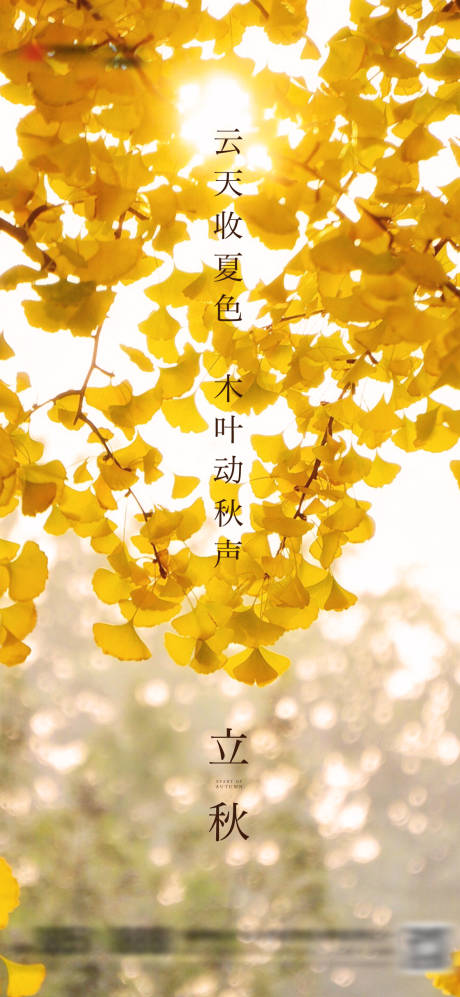 源文件下载【立秋节气海报】编号：84980005704296190