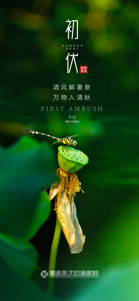 源文件下载【初伏】编号：28700005435773152