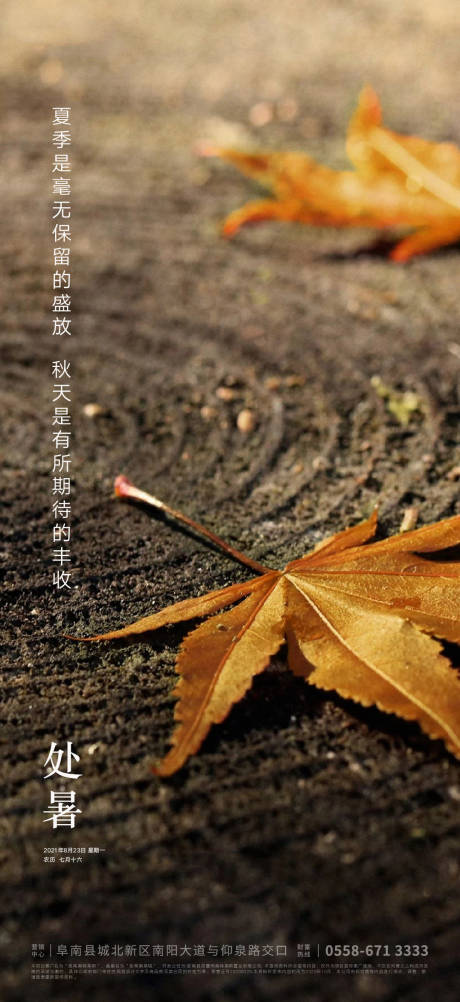源文件下载【处暑海报】编号：62140005690859123