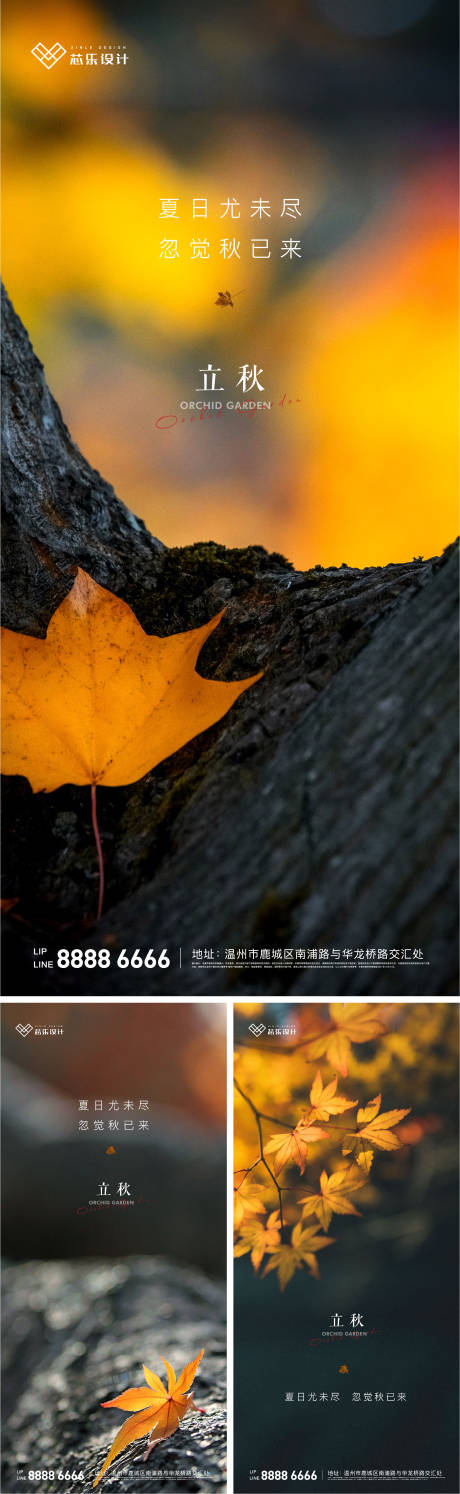 源文件下载【立秋节气系列海报】编号：48530005786712124
