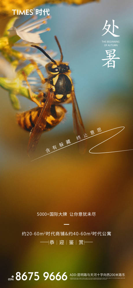 源文件下载【享设计】搜索编号：42280005764715115【地产处暑节气海报】