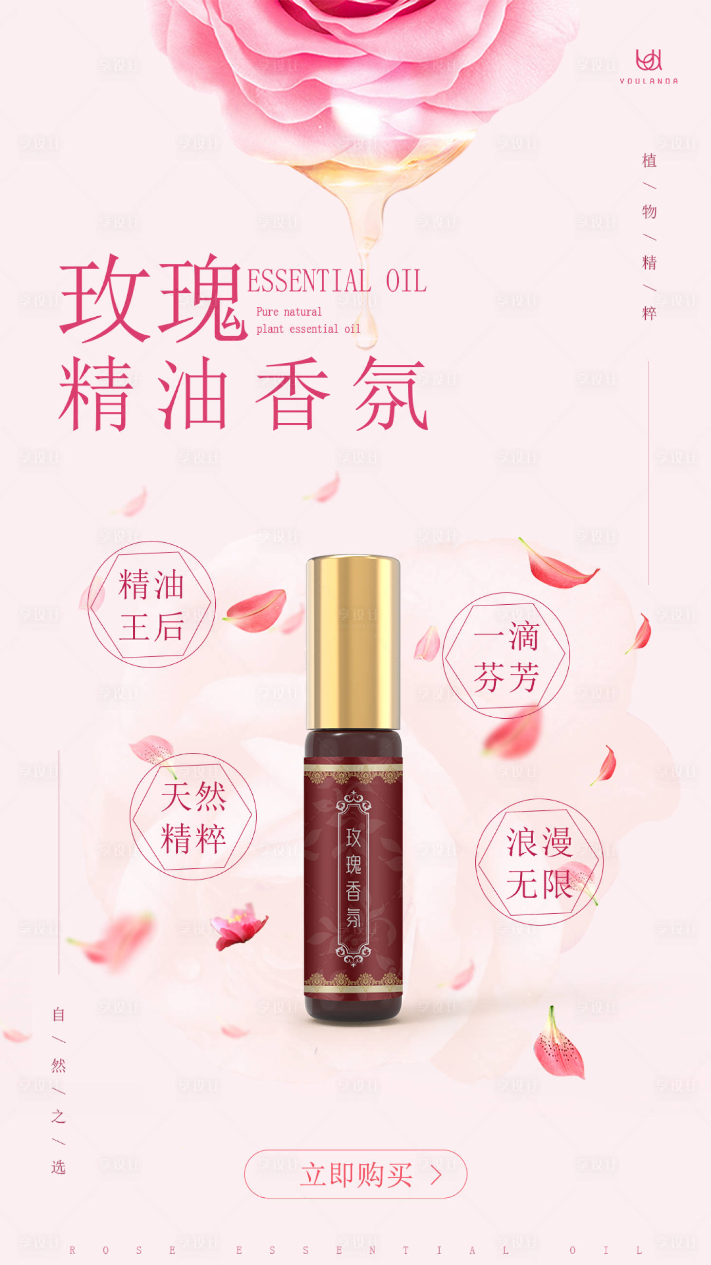源文件下載【享設計】搜索編號：29050005593086112【玫瑰精油海報】