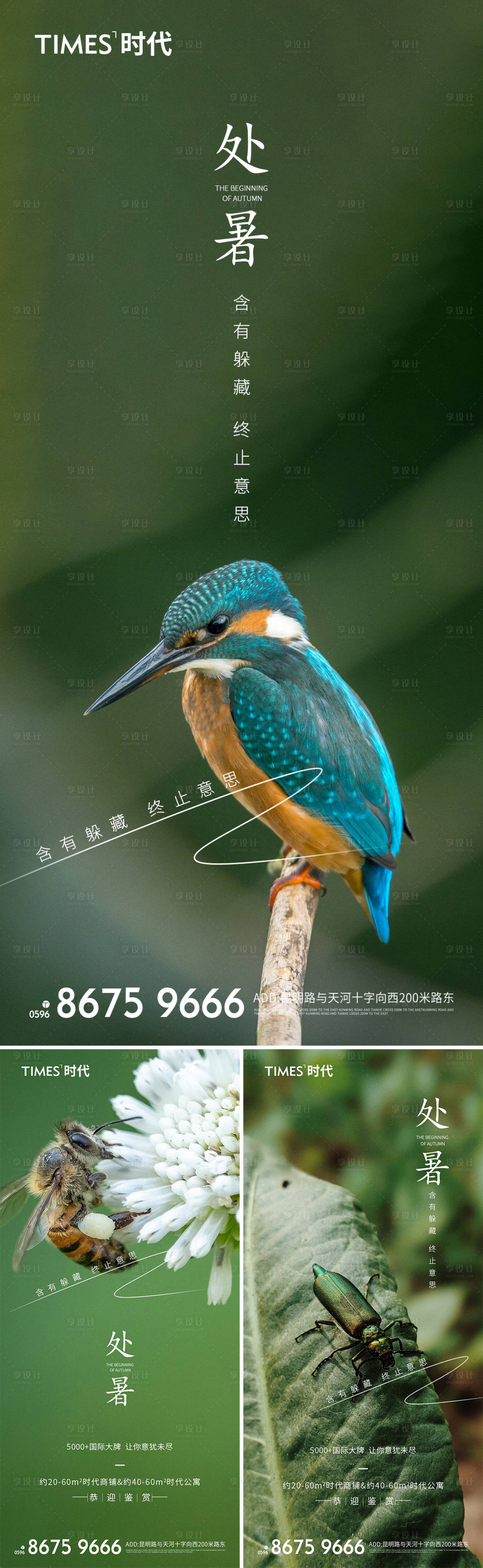 源文件下載【享設計】搜索編號：28490005817341477【處暑節氣微信系列海報】