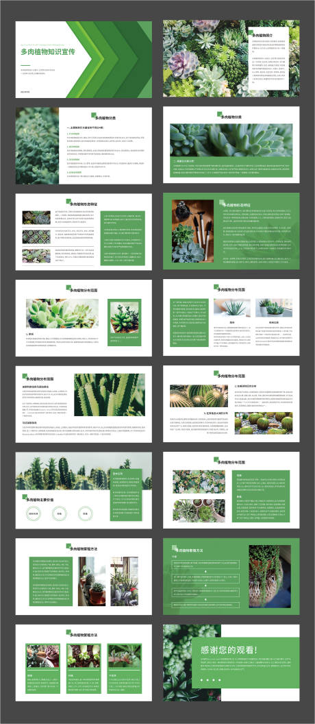 源文件下载【多肉植物知识宣传PPT】编号：99390005519839675