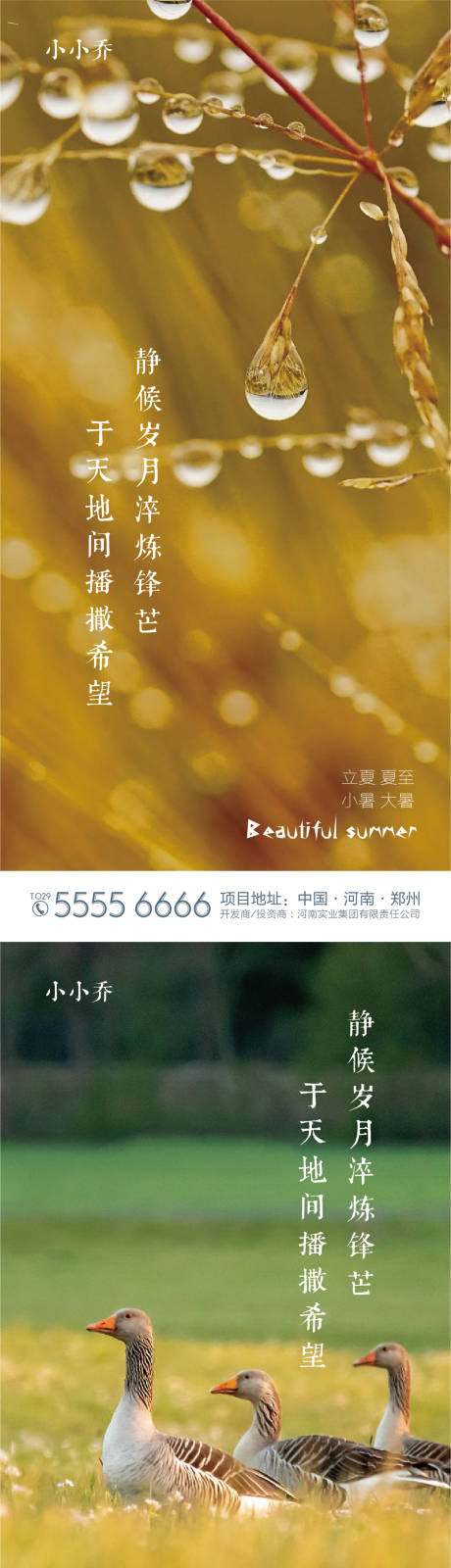 源文件下载【大暑节气海报】编号：14000005563781003