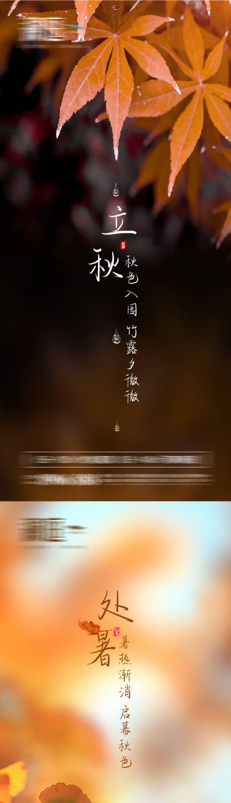 源文件下载【立秋处暑秋分节气系列海报】编号：84000005607991267