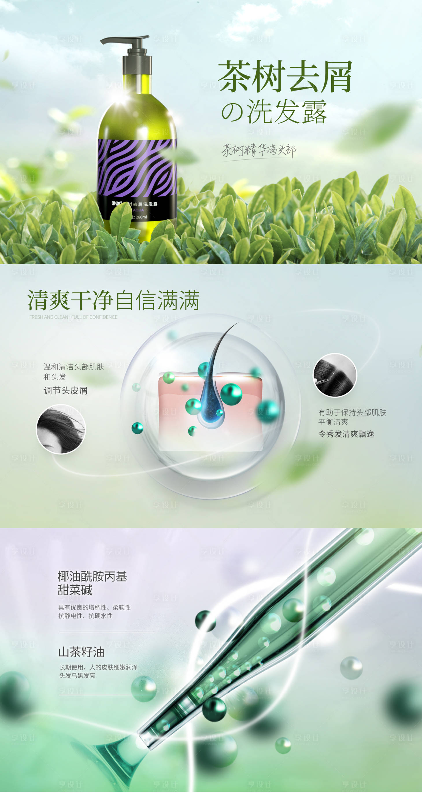 源文件下载【茶树洗发水banner】编号：34400005376749862
