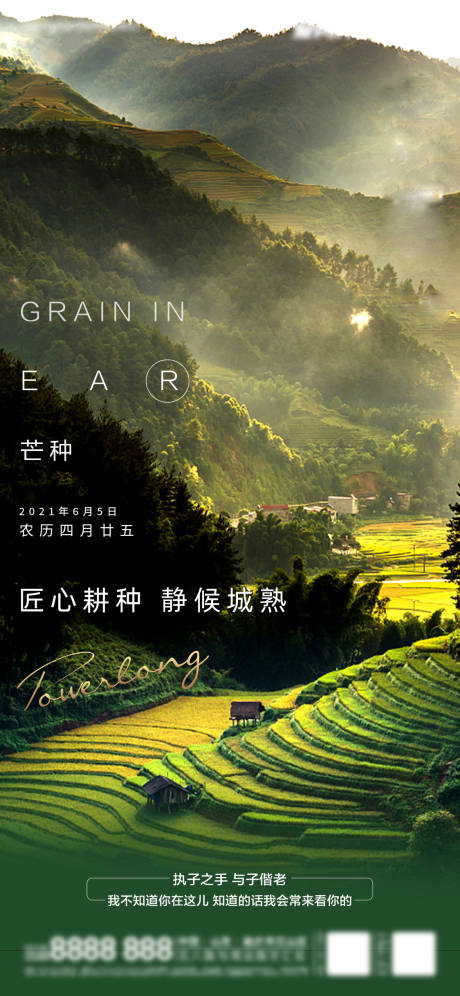 源文件下载【地产芒种海报】编号：42080005664416041