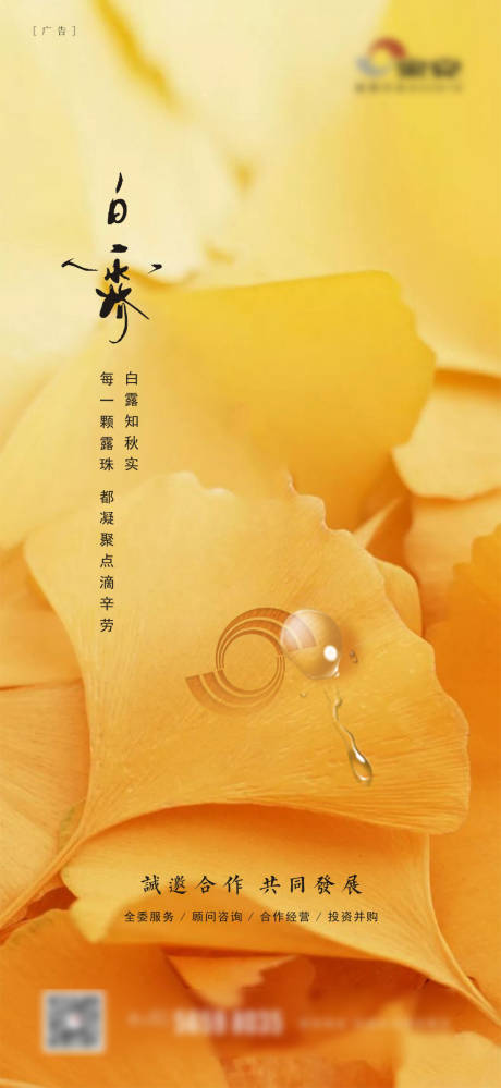 源文件下载【地产白露节气海报】编号：10600005475764952