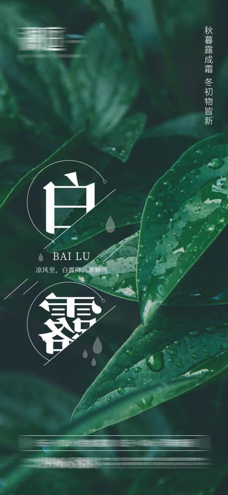 源文件下載【白露節氣海報】編號：22310005632973055