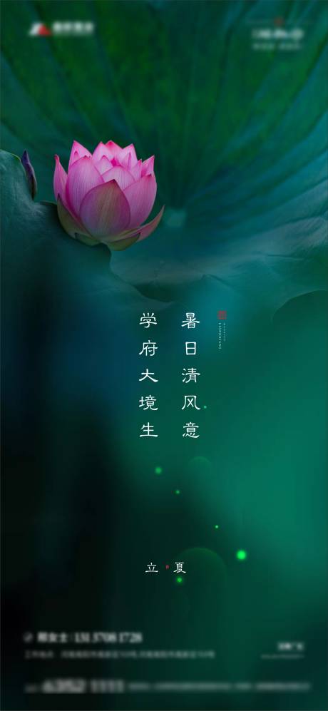 源文件下载【立夏节气荷花海报】编号：18560005414528543