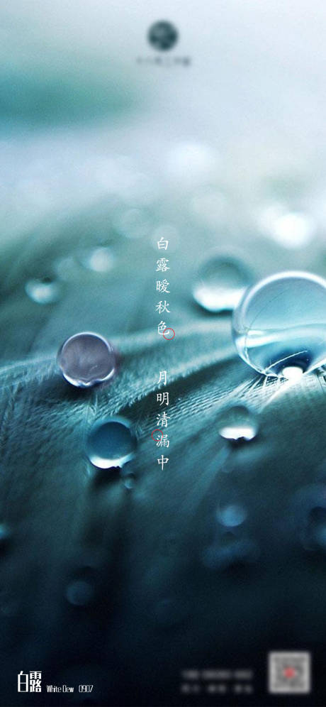 源文件下载【白露二十四节气单图刷屏】编号：71620005635041247
