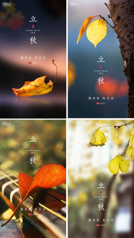 源文件下载【立秋节气海报】编号：39830005441119718