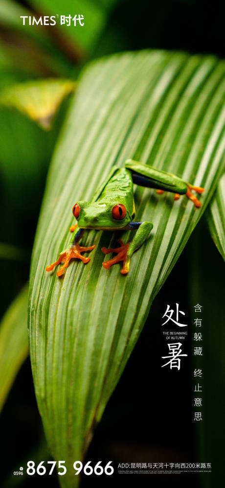 源文件下載【地產(chǎn)處暑節(jié)氣海報】編號：66670005764659119