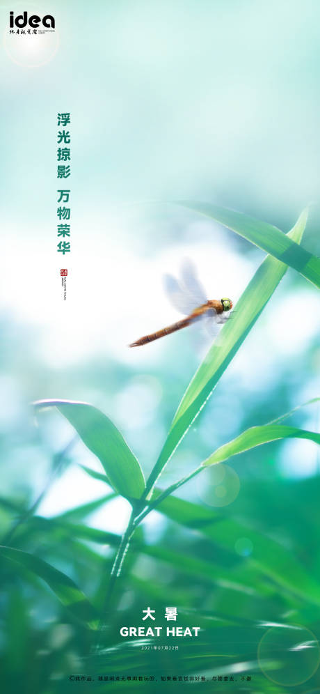源文件下载【大暑节气海报】编号：95110005540511220