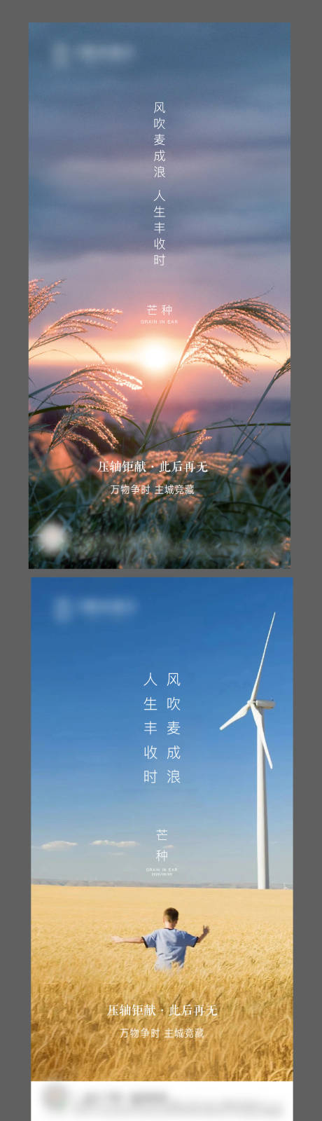 源文件下載【享設計】搜索編號：14120005431014390【芒種】