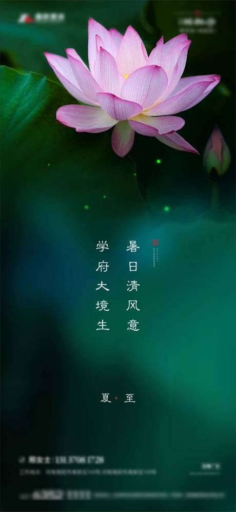 源文件下载【唯美荷花节气海报】编号：20210703151327084
