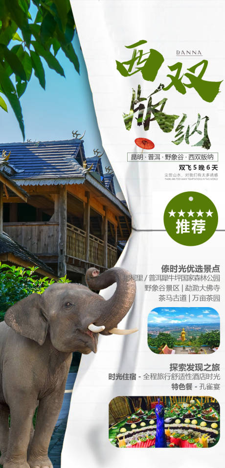 源文件下载【西双版纳旅游海报】编号：82870005562744386