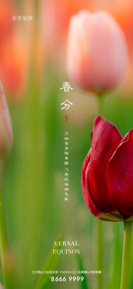 源文件下载【房地产春分节气海报】编号：40390005963797178