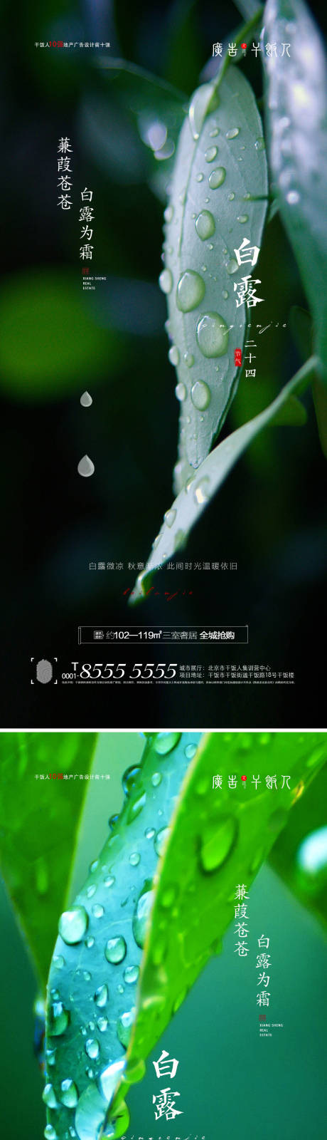 源文件下载【享设计】搜索编号：57980006053651986【地产白露寒露节气海报】