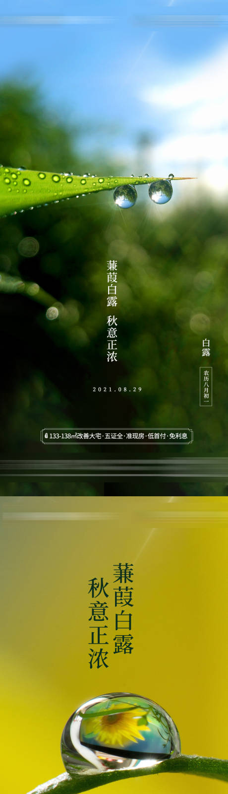 源文件下载【房地产白露节气海报】编号：62870006164841274