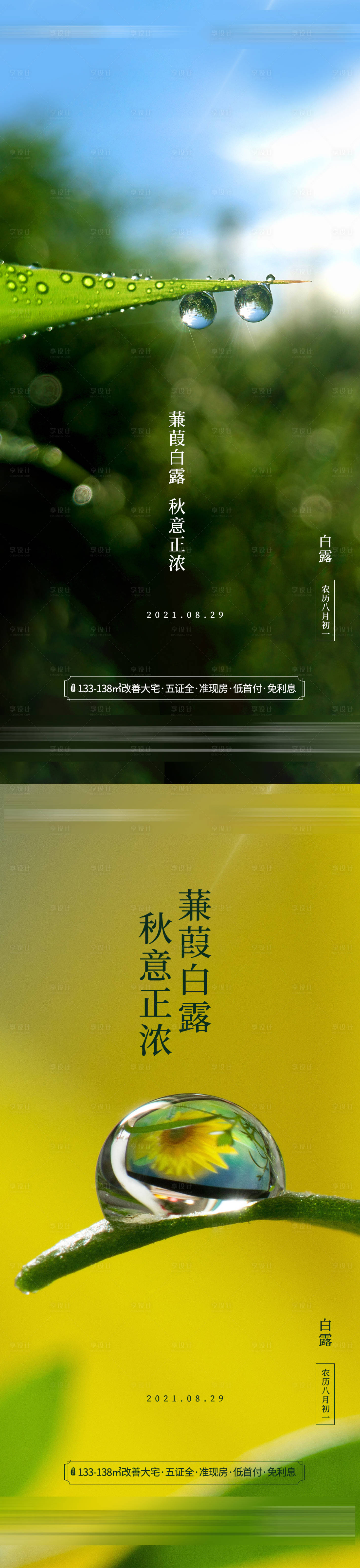 源文件下載【享設計】搜索編號：62870006164841274【房地產白露節(jié)氣海報】