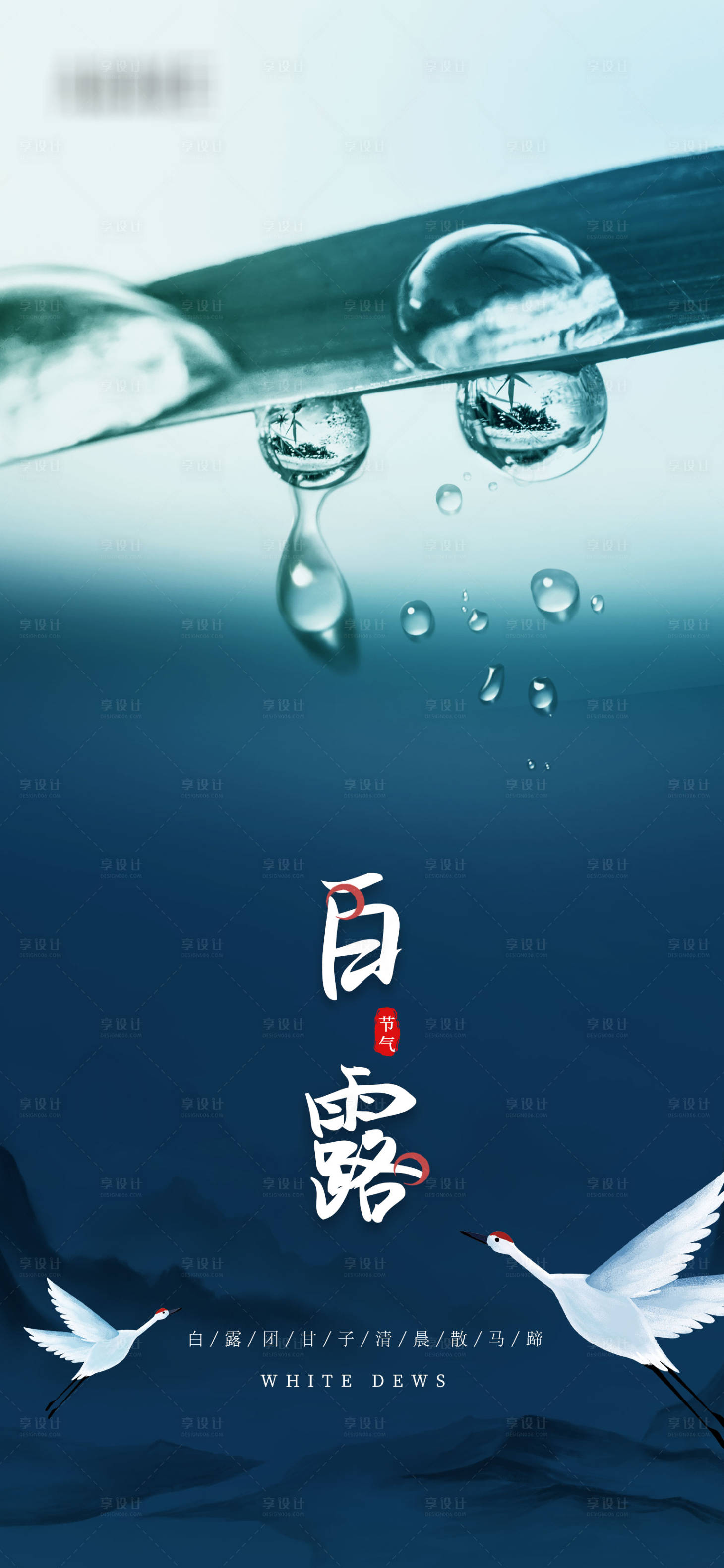 源文件下载【享设计】搜索编号：44980006177201853【白露移动端海报】