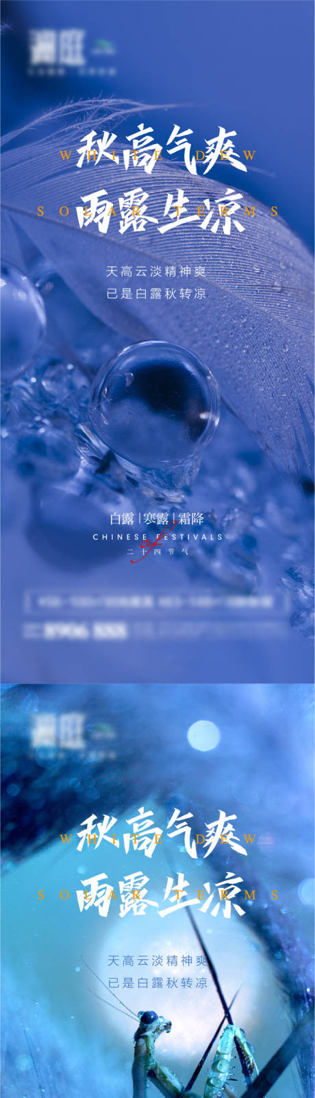 源文件下載【享設計】搜索編號：82450006020978806【白露寒露霜降節氣系列海報】