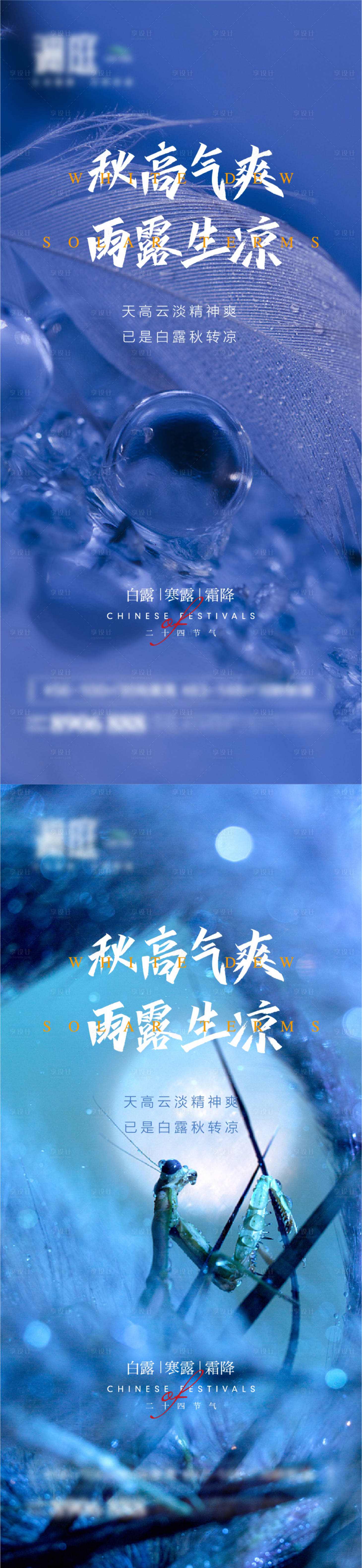 源文件下載【享設計】搜索編號：82450006020978806【白露寒露霜降節氣系列海報】