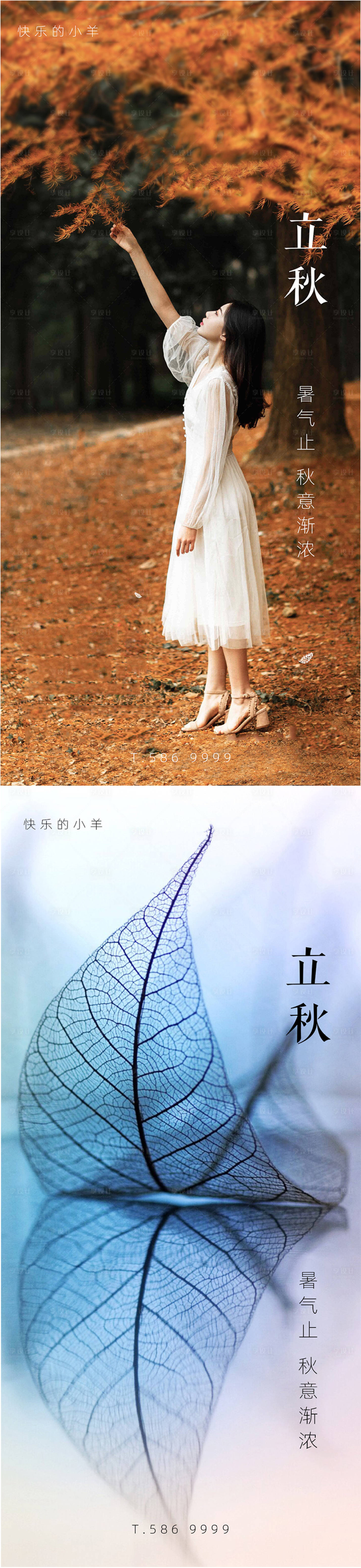 源文件下载【享设计】搜索编号：24210005860071739【立秋节气系列海报】