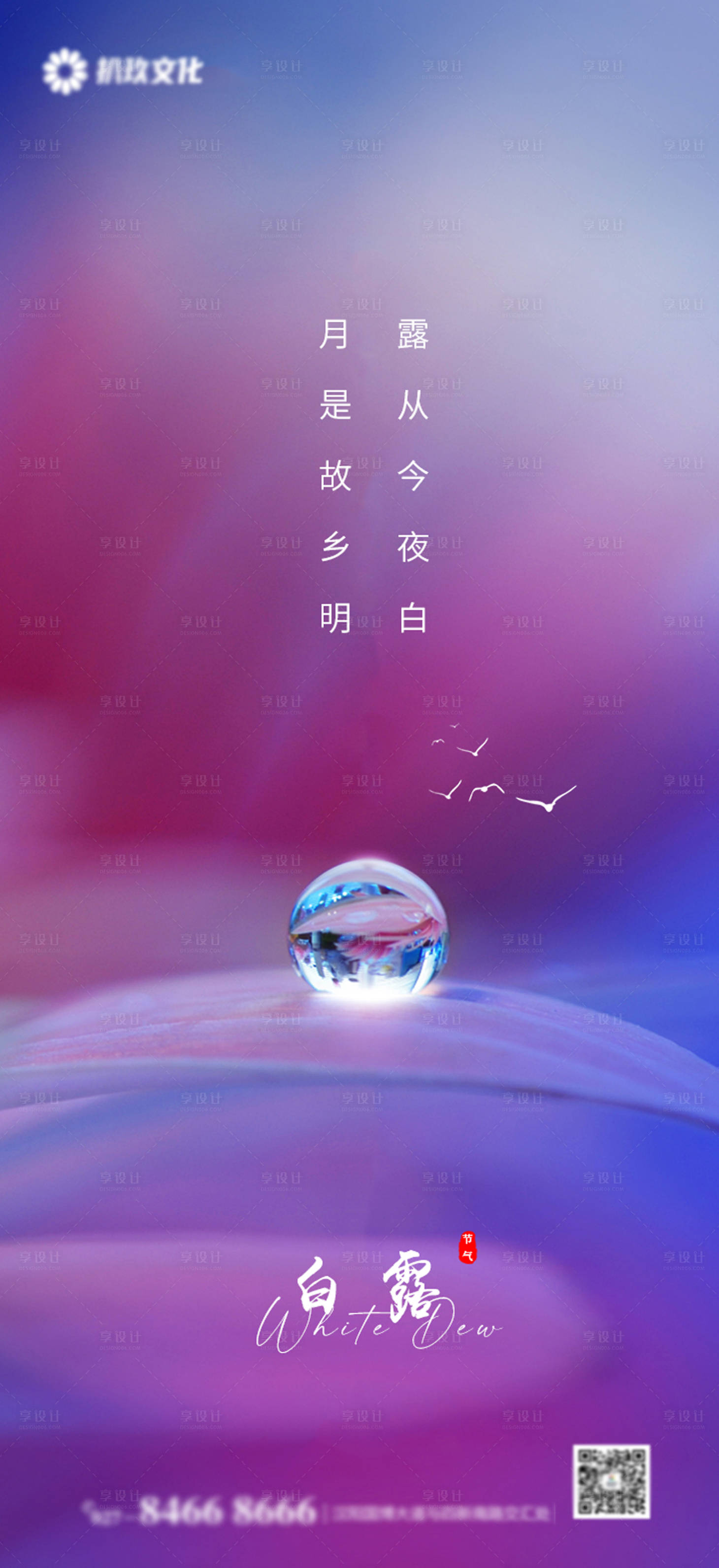 源文件下载【二十四节日节气白露霜降寒露】编号：82520006229941569