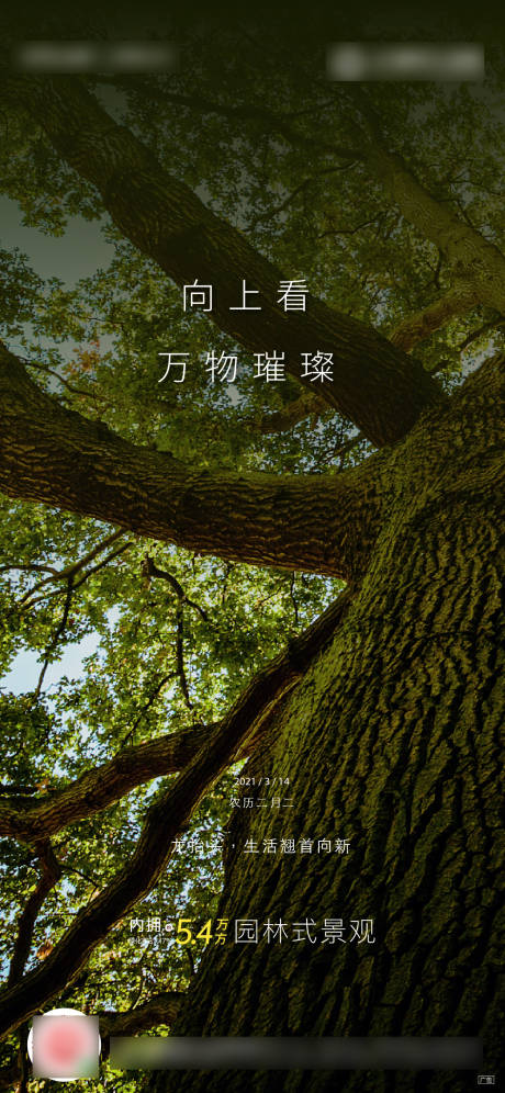 源文件下載【享設(shè)計(jì)】搜索編號：87350006154993801【森氧價(jià)值海報(bào)】