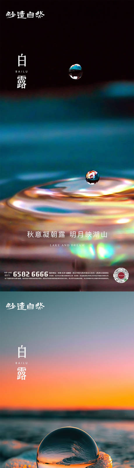 源文件下载【白露节气系列海报】编号：30440006248784710
