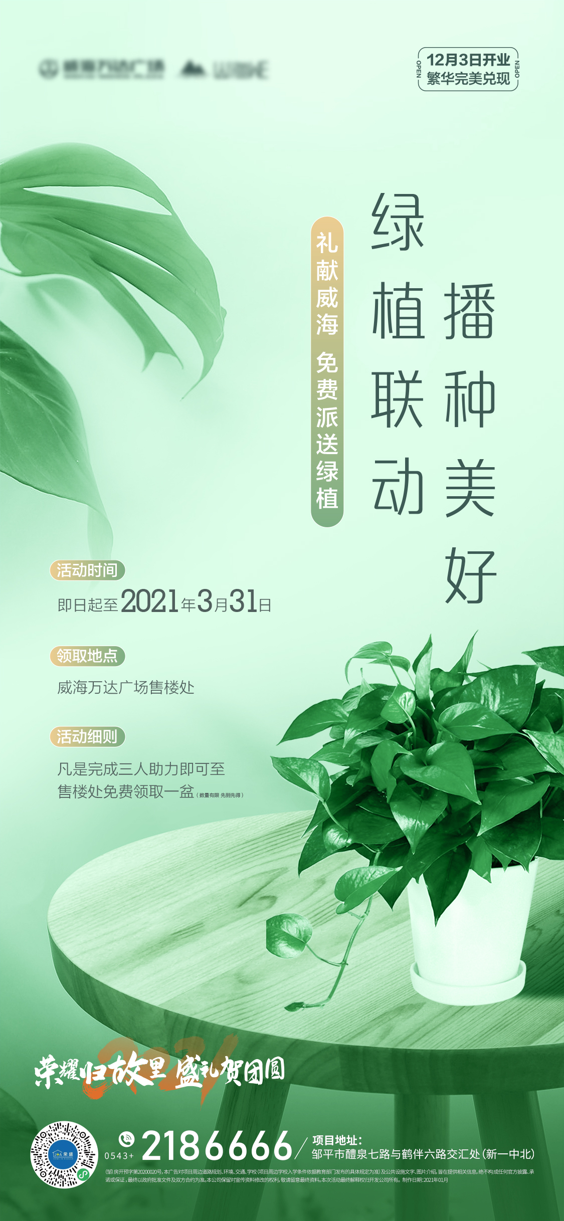 绿植宣传语图片