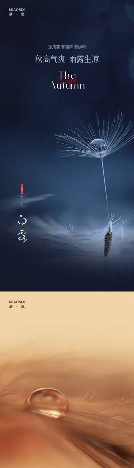 源文件下载【白露纯色系列海报】编号：98960006038166222