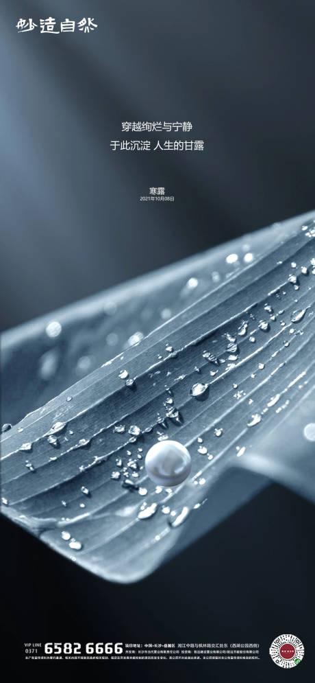 源文件下载【享设计】搜索编号：54890005844379320【寒露节气海报】