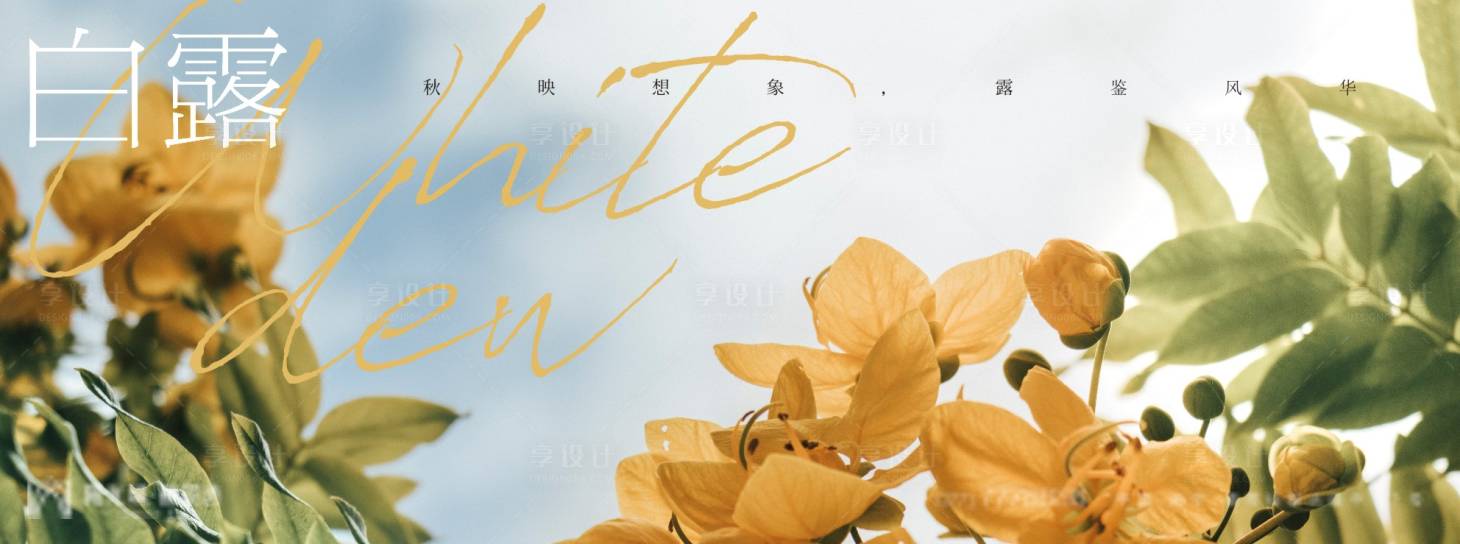 源文件下载【白露海报】编号：38970006050727172