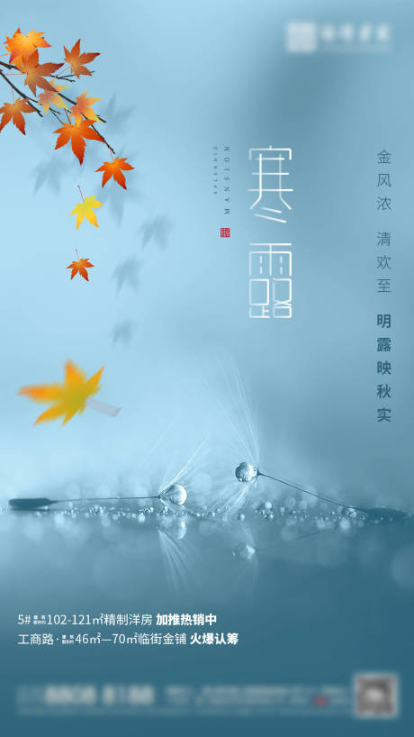 源文件下载【寒露节气海报】编号：20210820155633027