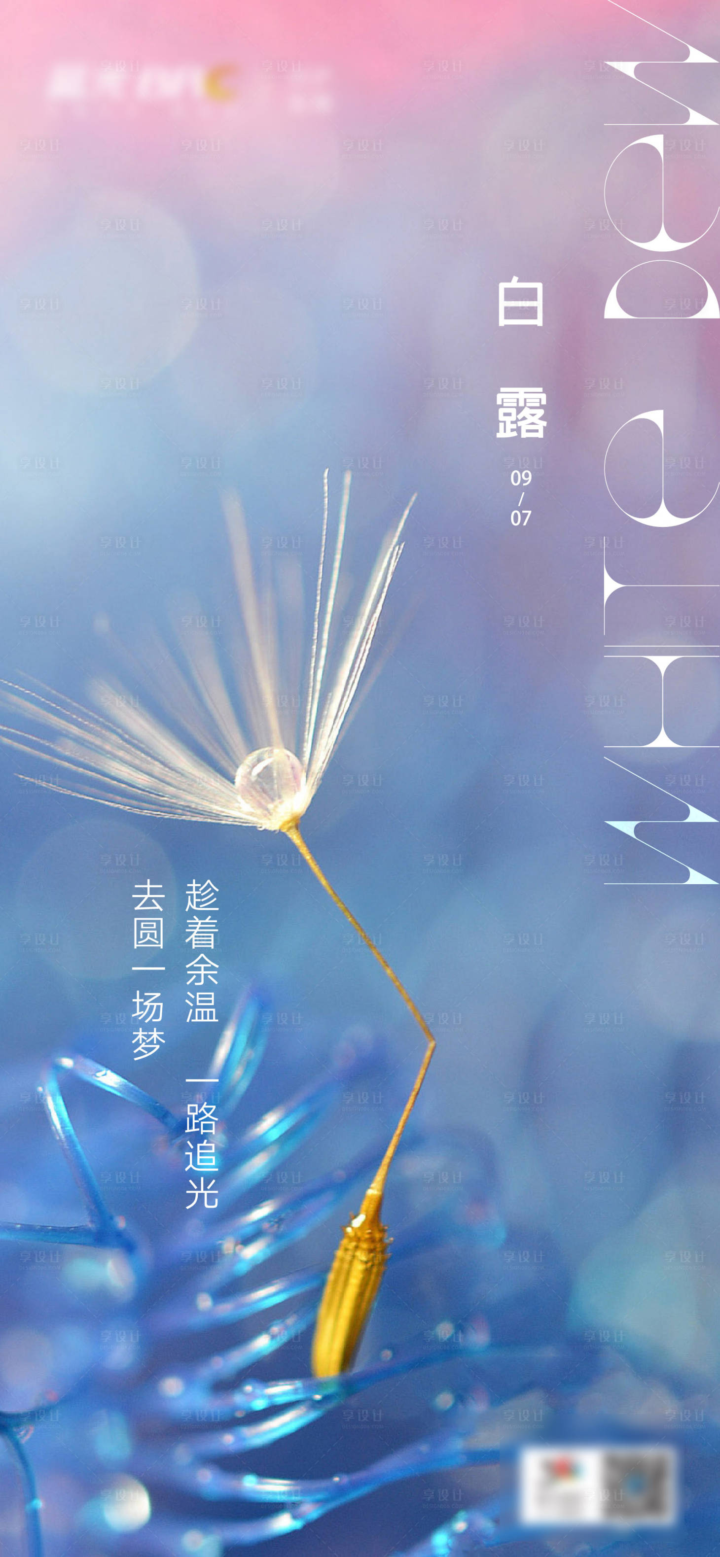源文件下載【享設(shè)計】搜索編號：84390005893731364【白露海報】