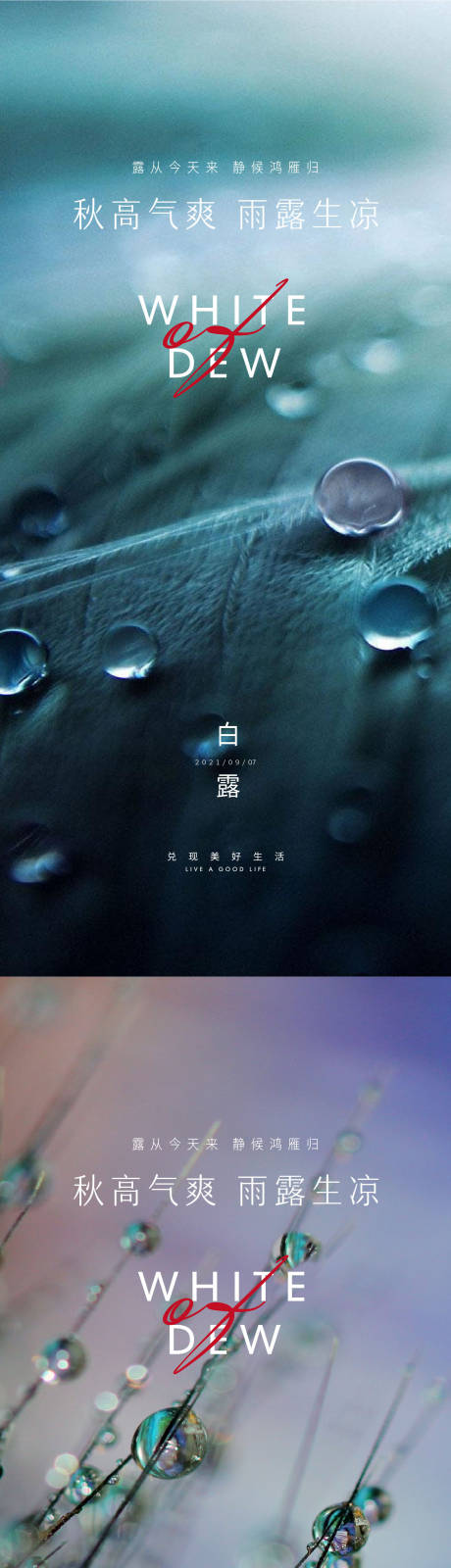 源文件下载【白露寒露节气海报】编号：15540006193677757