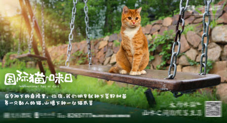 源文件下载【国际爱猫日海报展板】编号：82480006118553752