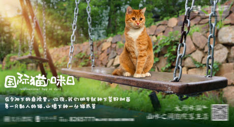 国际爱猫日海报展板