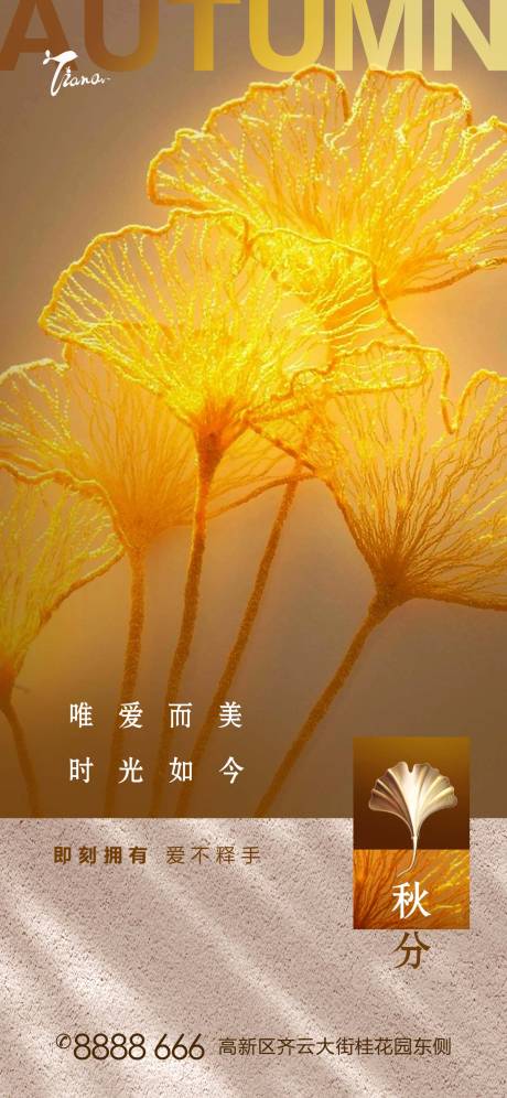 源文件下载【立秋秋风】编号：48870006010329263