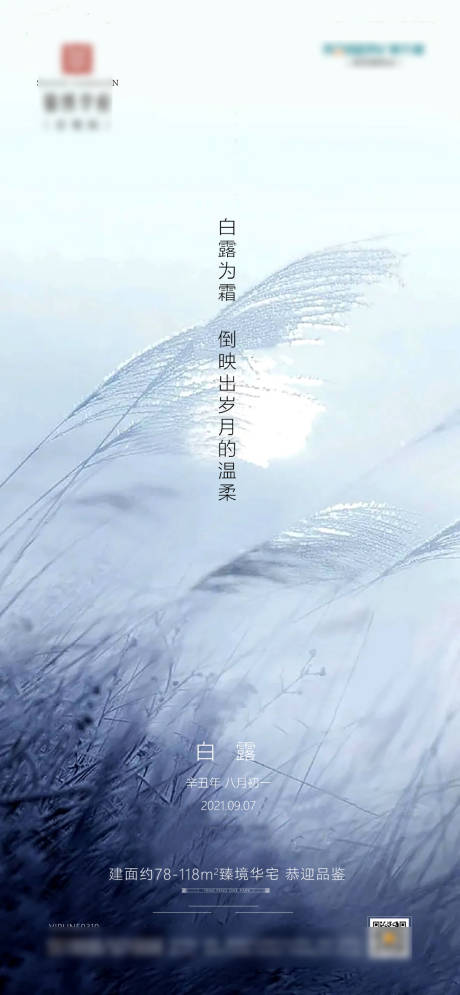 源文件下载【地产白露海报】编号：59120005974885064