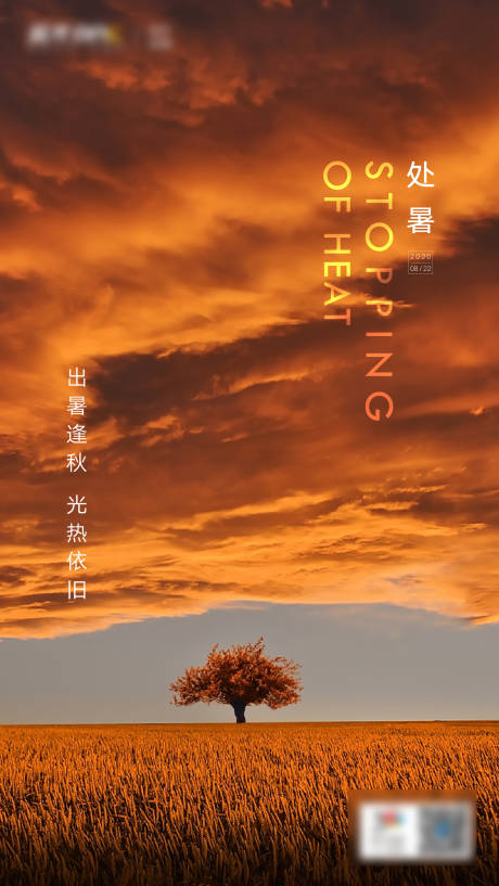 源文件下载【处暑节气海报】编号：98070005893398308