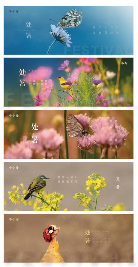 源文件下載【處暑系列海報】編號：63570006055517087